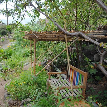 Hostal Casa Amaya Vallehermoso Dış mekan fotoğraf
