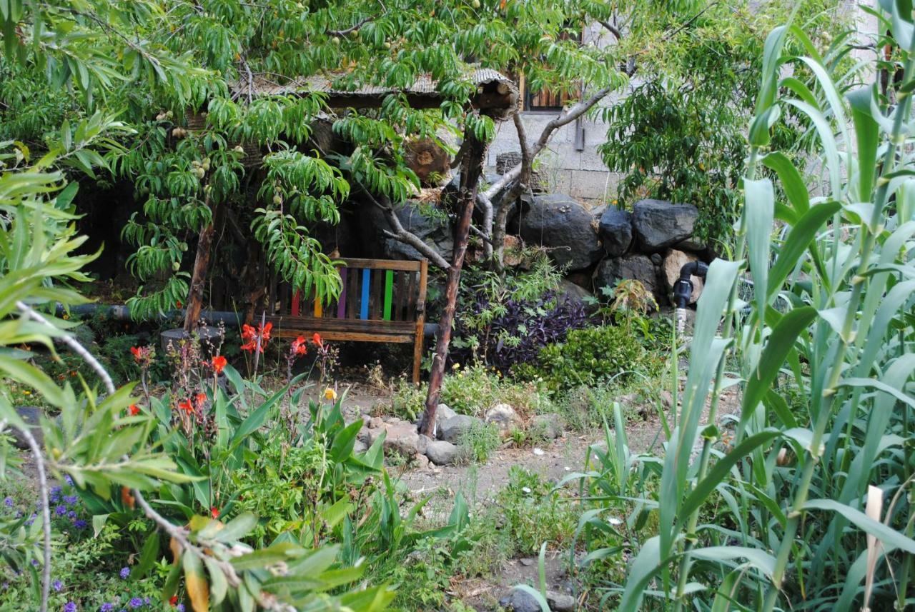 Hostal Casa Amaya Vallehermoso Dış mekan fotoğraf